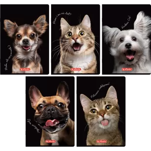 ZESZYT HERLITZ CRAZY ANIMAL A5/60K KRATKA Z MARGINESEM