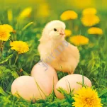 Serwetki świąteczne 3-warstw. 33x33 MAKI - 8