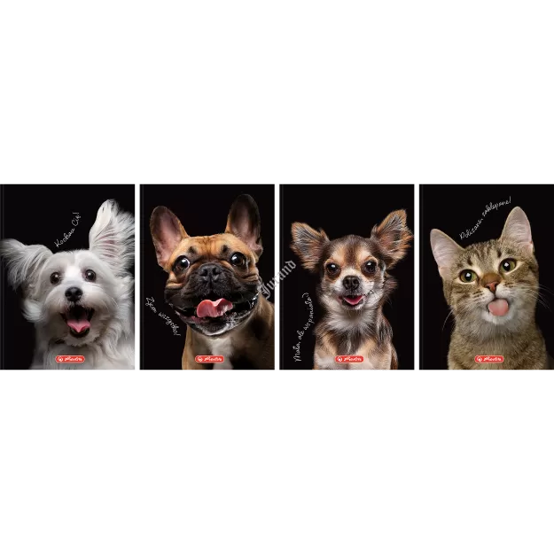 BRULION HERLITZ CRAZY ANIMAL A6/80K KRATKA