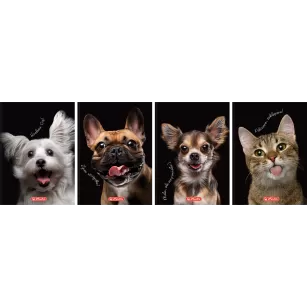 BRULION HERLITZ CRAZY ANIMAL A6/80K KRATKA