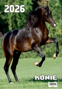 Kalendarze wieloplanszowe W