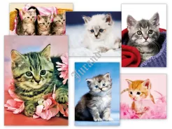 Pocztówki - zwierzaki s5