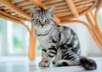 Kalendarze rodzinne WL - 6