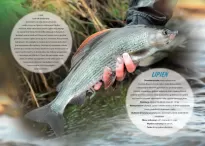 Kalendarze rodzinne WL - 41