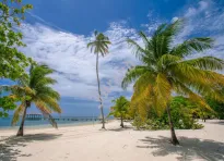 Kalendarze trójdzielne wypukła główka - 15