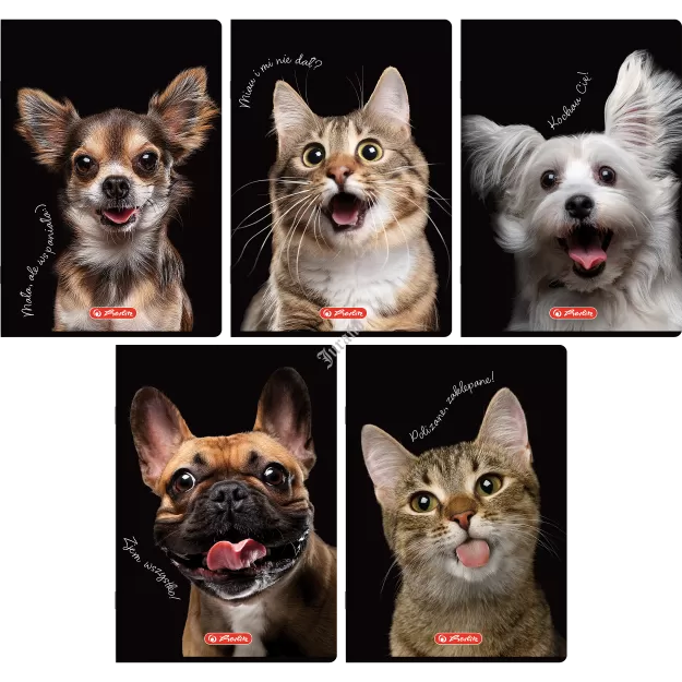 ZESZYT DO SŁÓWEK HERLITZ CRAZY ANIMAL A6/32K KRATKA