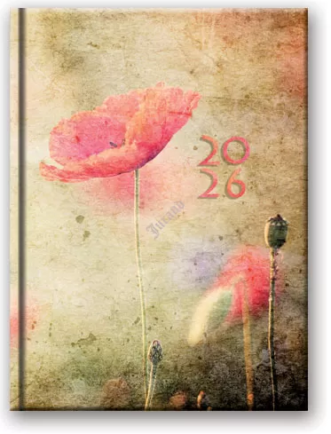 Kalendarze książkowe A5 dzienne Soft