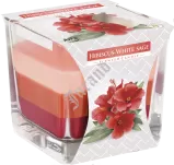 Świece zapachowe trójkolorowe w szkle - 22