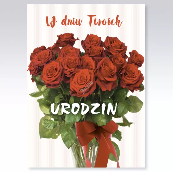 Karnety B6 urodziny 29