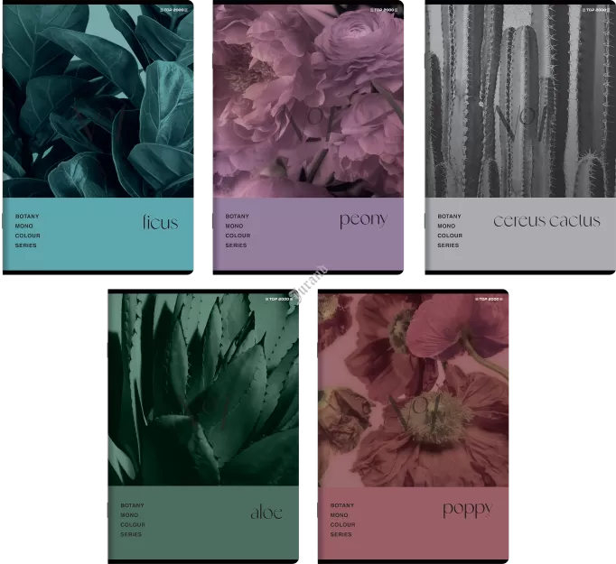 ZESZYT TOP 2000 BOTANY A5/80K KRATKA Z MARGINESEM