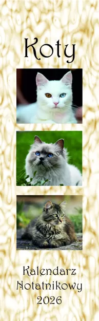 Kalendarze paskowe-notatnikowe