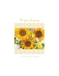 Karnety B6 imieniny s787