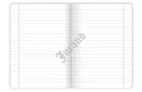 ZESZYT TOP 2000 BASIC A5/32K LINIA Z MARGINESEM - 2