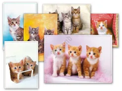 Pocztówki - zwierzaki