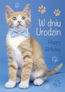 Karnety B6 brokatowane, urodziny s719