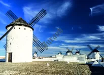 Kalendarze trójdzielne płaska główka - 14