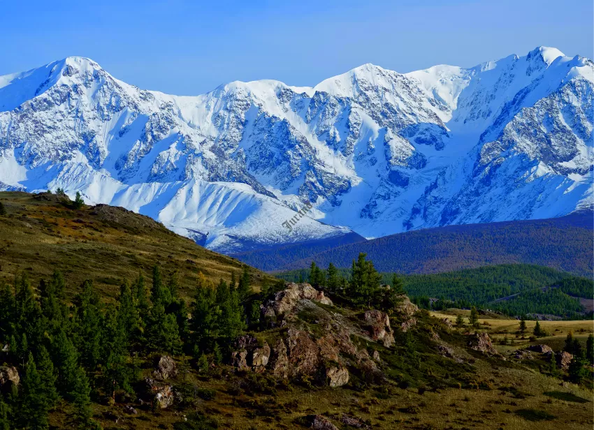 Kalendarze trójdzielne płaska główka