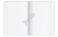 ZESZYT TOP 2000 BIRD'S EYE A5/96K KRATKA Z MARGINESEM - 2