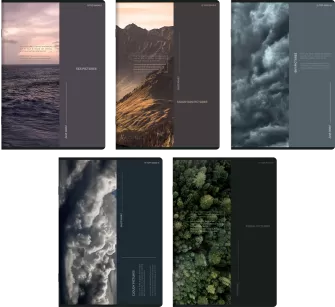 ZESZYT TOP 2000 BIRD'S EYE A5/96K KRATKA Z MARGINESEM